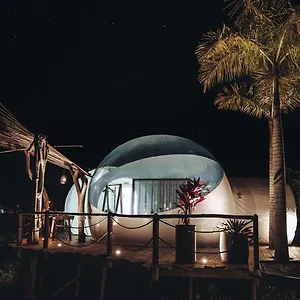 Land Bubble Glamping By Mint Cabarete
